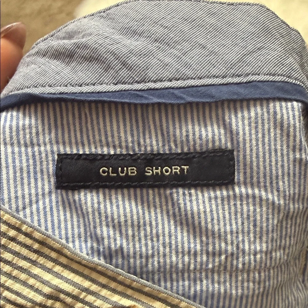 J. Crew Men's Club Short Pinstripe Shorts - Blue and White C3
